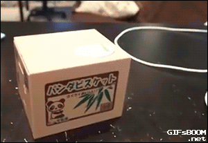 日本的一种叫“熊猫银行”的零钱储蓄罐